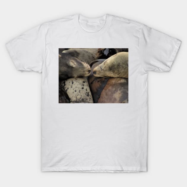 Sealed with a kiss T-Shirt by Photography_fan